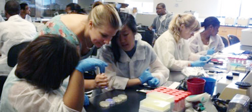 Biology students work with faculty