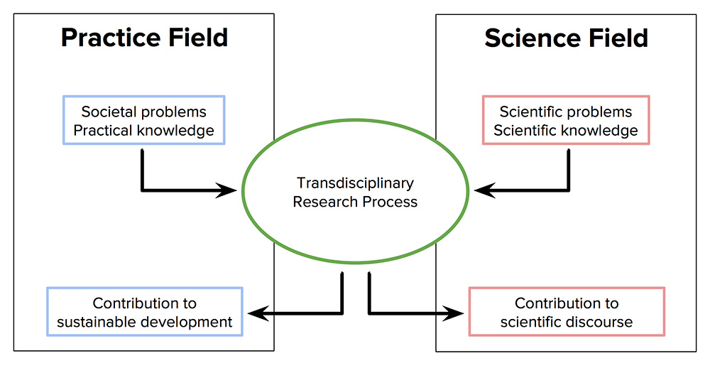A transdisplinary research process